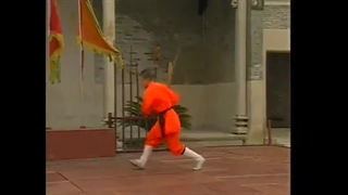 گوئن شو شائولین یین یانگ