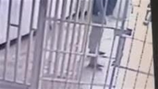 فیلمی از ملاقات حضوری جواد روحی با پدر و مادرش روز قبل از فوت