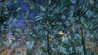 انیمه نبرد از طریق اسمان فصل 5 قسمت 61 زیرنویس فارسی