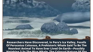 Perucetus Colossus: Earth's Heaviest Giant Ever