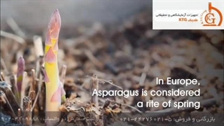 رفراکتومتر دیجیتال پرتابل آتاگو مدل PAL 1