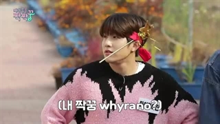 پوزیشن فقط استرو