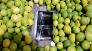 دستگاه آبلیمو گیری چندکاره صنعتی