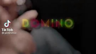 DOMINO