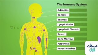 استروئیدها را بهتر بشناسیم- داروخانه آنلاین نسخه اول