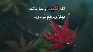 قلب پاک