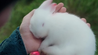 سریال چینی(سرزمین جنگجویان)The Land of Warriors 2024 قسمت ۲۰ با زیرنویس فارسی