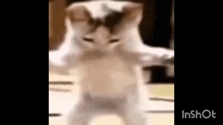 صدام خیلی بد شده