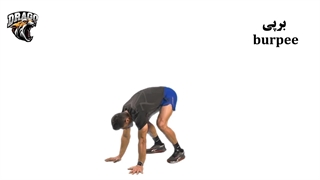 آموزش حرکت ‌برپی (burpee)