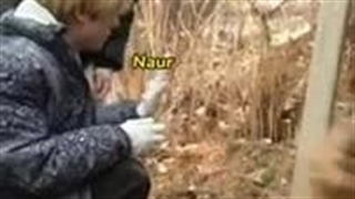 جیک فراموش کرده بود تو کره است نه استرالیا:)