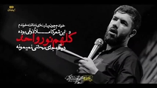 عطر وزیده علی.....