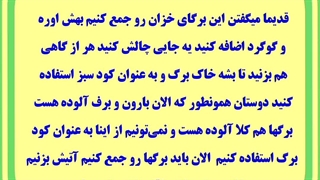 آیا برگ ها ی خزان درختا رو جمع کنیم یا ؟