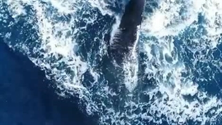 خودش را درونِ خودش: شعرِ تصویری