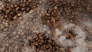 انواع قهوه دانه