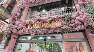 کافه‌های خاطره‌انگیز استانبول؛ جایی برای چای، باقلوا و لحظات خاص