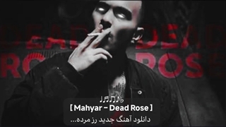 آهنگ جدید رز مرده از مهیار Mahyar – Dead Rose [New Track]