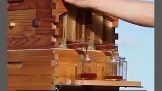 فروش دستگاه کندو عسل مدرن استرالیایی