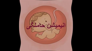 انیمیشن حاملگی