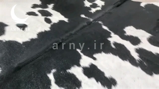پوست گاو از نمای نزدیک