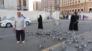 حاج ابوالفضل مهدوی پیام در کنار دیوار بقیع - مدینه منوره با انبوهی از پرندگان