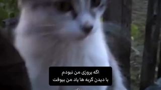 اگه یه روز نبودم...