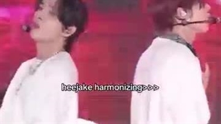 فقط صدای این دوتا.....