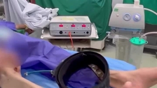 دکتر محمدرضا صادقی - سایت بهترین در تهران