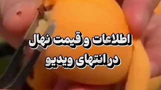 شغل های پردرآمد خانگی