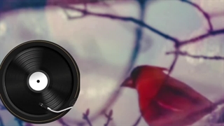 منتظرت بودم