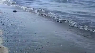 سه راز سوره واقعه حرز اصیل امام جواد