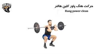 آموزش کامل حرکت هنگ پاور کلین هالتر | تکنیک صحیح و فواید