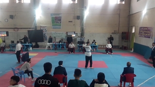 مسابقات تکواندو محمدمهدی رادور درمان ریزش مو