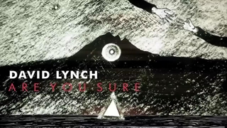 David Lynch 'Are You Sure' (OFFICIAL AUDIO) - RIP Legend