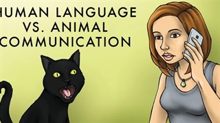 ?Would you rather be able to speak all languages or communicate with animals