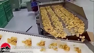 خط تولید چیپس سیب زمینی | زامکو