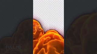 خط تولید بسته بندی تخممرغ ارزش داره یا نه!