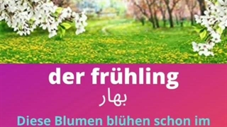 Wortschatz Deutsch (17)