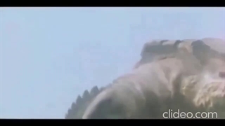 Godzilla vs Gamera