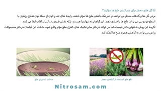 فروشگاه حشره کش ملخ در تهران - سم تضمینی ملخ