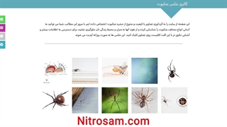 خرید سم عنکبوت - سم عنکبوت قوی