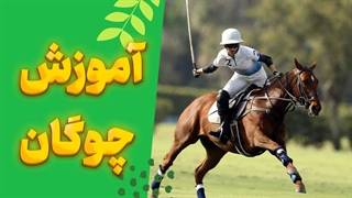 چوگان: راهنمای کامل برای شروع و پیشرفت