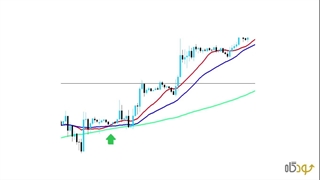 حلزون اکسپرت مووینگ اوریج