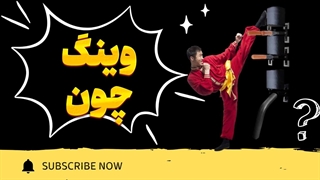 وینگ چون: از مبتدی تا استاد در کمترین زمان!