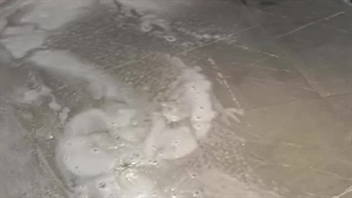 کف سابی موزاییک