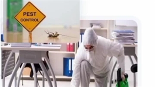 سمپاشی تخصصی 09120997823