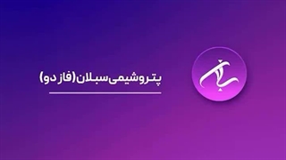 معرفی شرکت های زیر مجموعه هلدینگ پتروفرهنگ