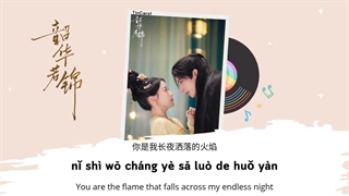 آهنگ و موسیقی سریال چینی شکوه جوانی (Youthful Glory OST)