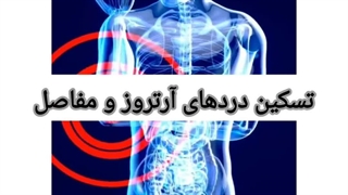 کپسول دایان فلکس دایان فارما و کلسیم منیزیم فورت ویتالایز