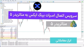 سرویس اتصال اسپات بینگ ایکس به متاتریدر 5 – [تریدینگ فایندر]
