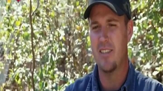 چوب بران باتلاق 27 بهمن 1402